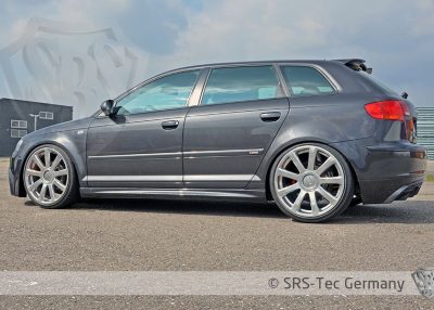 Side Skirts - SRS-TEC Styling & Tuning - Seit 2005